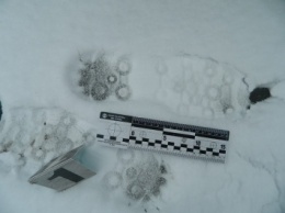Снег в Киеве подсказал полиции, где искать преступника
