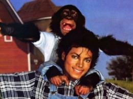 О шимпанзе Майкла Джексона - обезьяне Бабблсе - снимут фильм