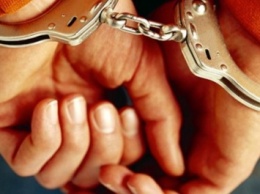Полицейские задержали группу серийных воров в Бахмуте