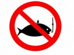 Запрет на ловлю рыбы вступает в силу с 1 апреля