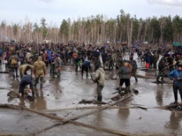 В бюджете нет денег на восстановление почвы после добычи янтаря