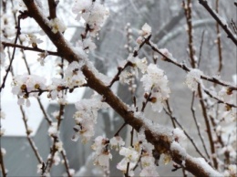 В ближайшие дни в Киев вернется зима со снегом и сильным ветром