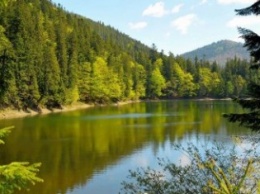 Германия выделит деньги на обновление заповедной зоны в Закарпатье