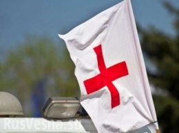 Скандал в Красном Кресте: за продажу гумпомощи уволено несколько высокопоставленных руководителей