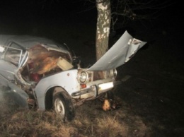 Машина врезалась в дерево в Киевской области, госпитализировали трех человек