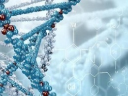 В ДНК человека ученые-биологи обнаружили второй спрятанный ретровирус