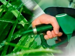Украинский потребитель экономит до 17 грн на 100 км при использовании биотоплива - исследование