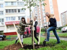 В центре Москвы проведут масштабное озеленение