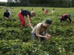Украинцам будет сложнее трудоустроиться в Польше