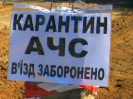 В Одесской области зафиксировали вспышку африканской чумы свиней
