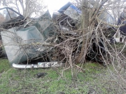 В Запорожской области машину разворотило от удара об дерево (Фото)