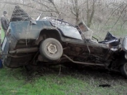В Запорожской области от удара в дерево авто разорвало на куски, - ФОТО