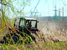 Украине необходимо тратить 50 млрд грн ежегодно для сохранения плодородия почвы