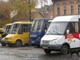 Противостояние между водителями маршруток и детьми в Ужгороде набирает обороты (ВИДЕО)