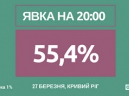 Явка на выборах мэра Кривого Рога превысила 55%