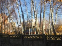 Часть Голосеевского парка оградят