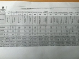 Оглашены итоги внеочередных выборов в Кривом Роге