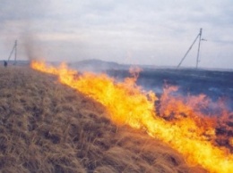 За сутки на Черниговщине выгорело более 51 га сухой травы
