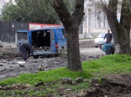 Мэрия Симферополя использует сорванную брусчатку в парках (ФОТО)
