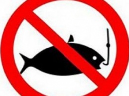 С 1 апреля в Сумах и области запрещена рыбалка (ТАБЛИЦА ШТРАФОВ)