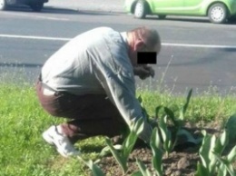 Патрульные заставили мужчину сажать тюльпаны