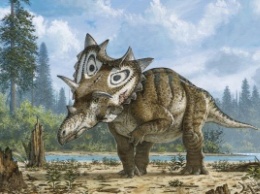 В Юте найден скелет неизвестного рогатого динозавра