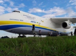 Самый большой в мире самолет вернулся "домой": авиалайнер Ан-225 "Мрия" приземлился под Киевом