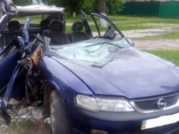 На Полтавщине из разбитого авто спасатели доставали водителя