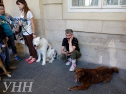 Владельцы животных вышли на пикет к Львовскому горсовету