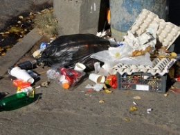 В КГГА рассказали, кто должен убирать мусор после вывоза контейнеров