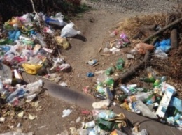 Южнобережный феномен: с ялтинских пляжей мусор вывозят тоннами