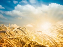 Минагрополитики будет стимулировать развитие фермерских хозяйств в Украине, - Я.Краснопольский