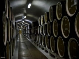 Винодельческий завод «Массандра» в Крыму (ФОТО)