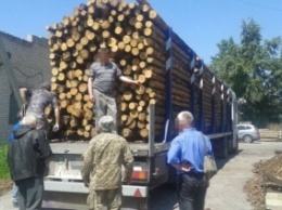 На Луганщине чиновники организовали коррупционную схему хищения лесоматериалов