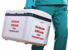 В Херсонской области собирают деньги на трансплантацию почки для девушки-волонтера