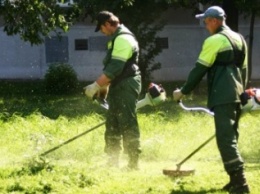 В мае в Антоновке отремонтировали электросети, покосили траву и убрали мусор на 3 млн грн