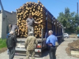 В Луганской области чиновники воровали лесоматериалы