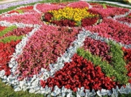 В районе сквера «Сливен» появится дизайнерское панно из цветов