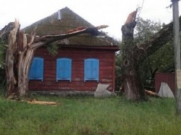 Из-за вчерашней непогоды 15 населенных пунктов Черниговщины остались без электричества и 30 - без связи
