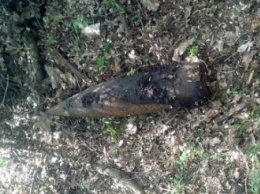 На территории сельсовета Днепропетровщины обнаружили 150-килограммовые снаряды