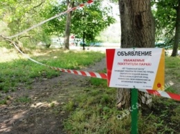 В одесском парке Победы впервые за 10 лет чистят пруд