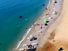 Крым "приглашает": россияне вылили в море 8 тонн мазута