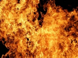 Во время пожара в Житомирской области погибла женщина