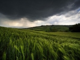 Как отразятся черниговские майские дожди на будущем урожае