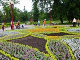 В весенние месяцы в Макеевке высадили больше 120 тысяч цветов (фото)