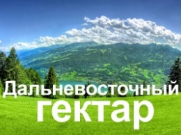 Желающие получить бесплатный гектар на Дальнем Востоке обрушили сайт проекта