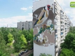 Харьковские многоэтажки превратятся в полотна для картин