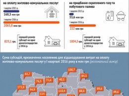 Николаевская область в первом квартале получила меньше всего денег на субсидии: обделили или самые богатые?