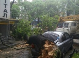 В центре Одессы дерево обвалило часть фасада дома и уничтожило автомобиль (ФОТО)