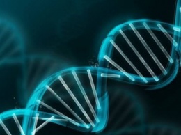 Ученые предложили проект по созданию генома человека с нуля